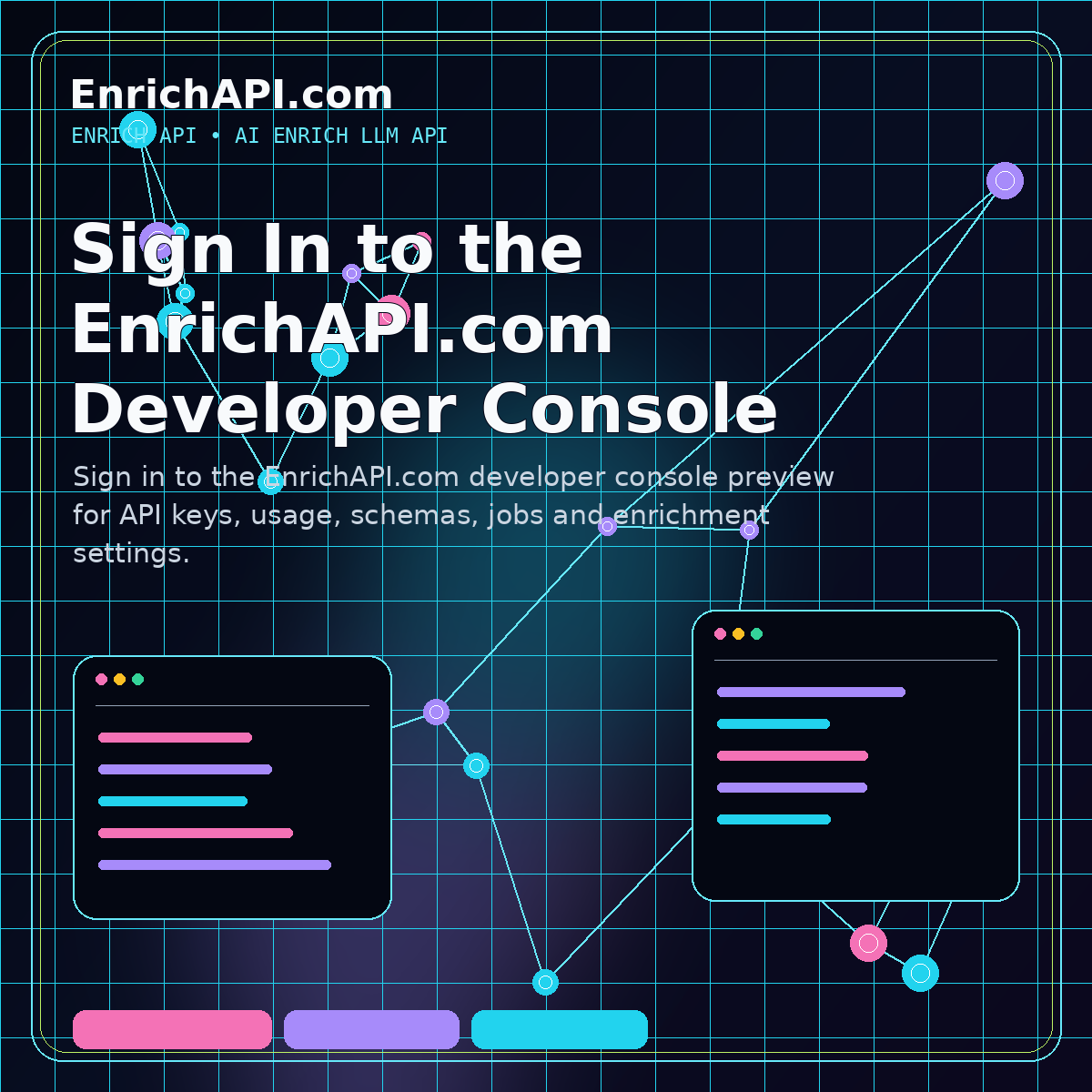 Secure Enrich API developer console sign-in preview with API keys and usage panels