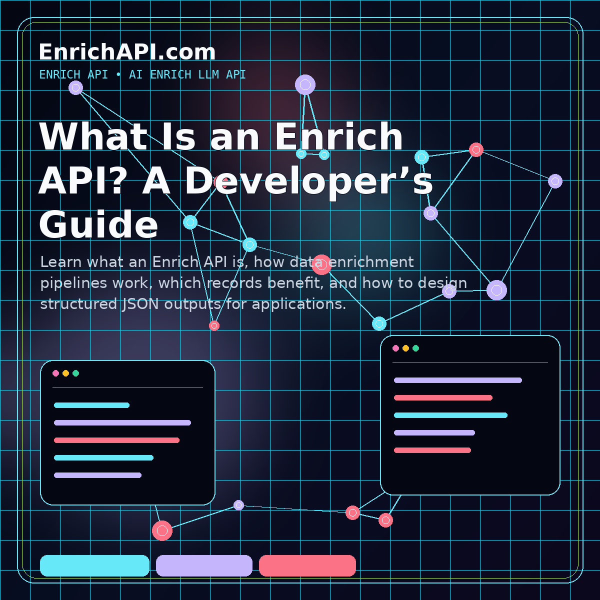 What is an Enrich API developer guide showing input, enrichment stages and structured JSON output
